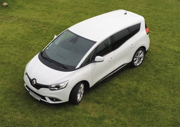 Renault Grand Scenic cena 64300 przebieg: 129801, rok produkcji 2019 z Rydzyna małe 704